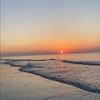 darla_dorman